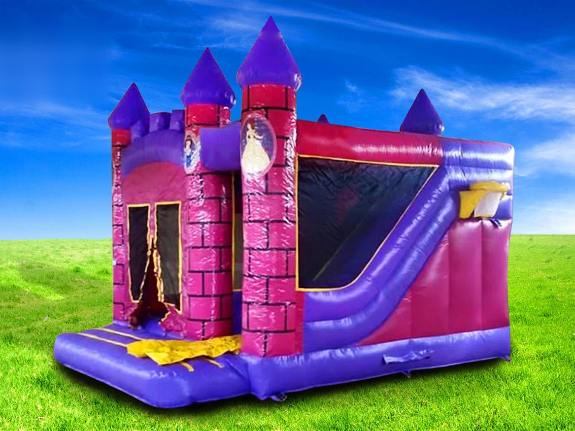 Princess Activity Unit
